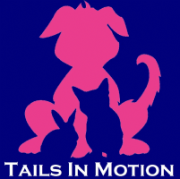 Tails In Motion Photo