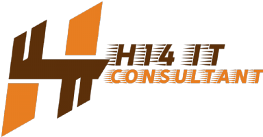 H14 IT CONSULTANT Photo