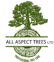 All Aspect Trees Ltd Photo
