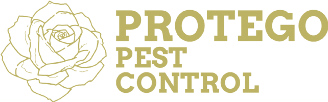 Protego Pest Control Photo