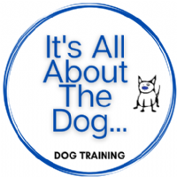 It's All About The Dog Photo
