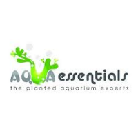 Aqua Essentials Photo