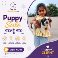 Dog in Bangalore |Dog Breeder in Hennur Photo