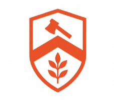 Ross Webster Tree Services Photo
