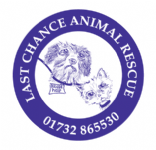Last Chance Animal Rescue Photo