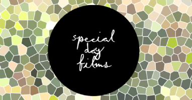 Special Day Films Photo
