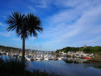 Tarbert Harbour Authority Photo