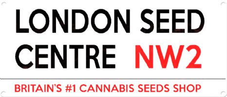 London Seed Centre Photo