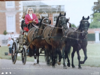 Pilgrims Horsedrawn Carriages Photo