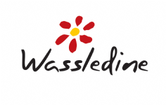 Wassledine Photo